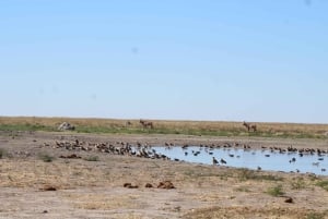 Maunista: Moremin riistansuojelualueen kierros