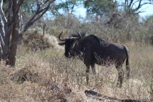 Maunista: Moremin riistansuojelualueen kierros