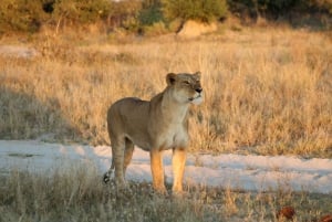 Maunista: Moremin riistansuojelualueen kierros