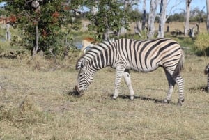 Maunista: Moremin riistansuojelualueen kierros