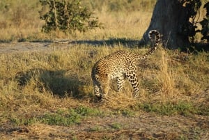 Maunista: Moremin riistansuojelualueen kierros