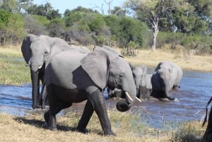 Maunista: Moremin riistansuojelualueen kierros