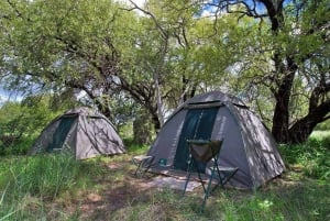 From Maun: Overnight Camping Safari to Chief’s Island