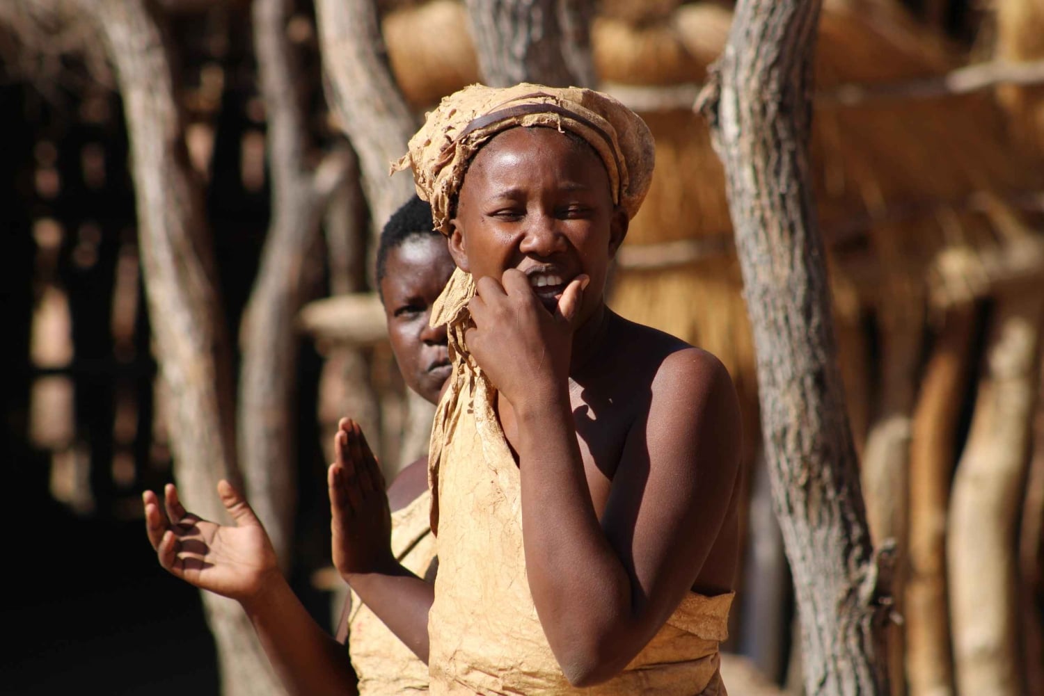 From Namibia to Zimbabwe: 15-Day Guided Lodge Tour