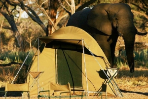 From Victoria Falls: 3-Day Chobe Camping Safari