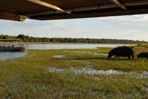 From Victoria Falls: Chobe Day Safari with Buffet Lunch