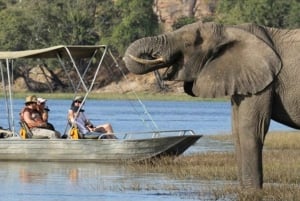 Von Victoria Falls: Tagestour zum Chobe-Nationalpark