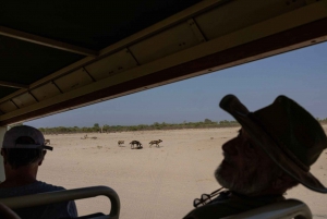 Victoriafälle: Tagestour zum Chobe-Nationalpark mit Mittagessen