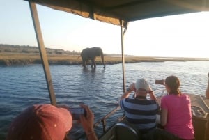 Au départ de Victoria Falls : Visite en petit groupe du parc national de Chobe