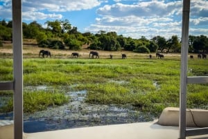 From Victoria Falls: Full Chobe Day trip to Chobe, Botswana