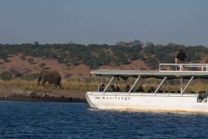 From Victoria Falls: Full Chobe Day trip to Chobe, Botswana