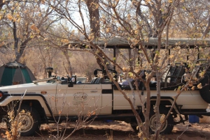 From Victoria Falls: Sunrise to Sunset Chobe Safari