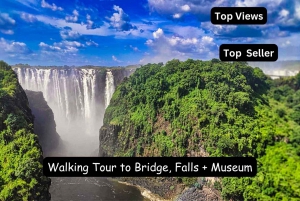 From Victoria Falls: Views of Falls and Bridge Tour