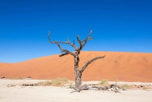From Windhoek: 12-Day Namibia Camping Trip