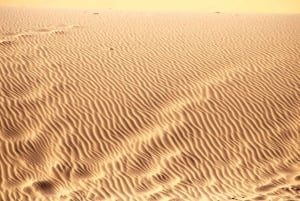 From Windhoek: 12-Day Namibia Camping Trip