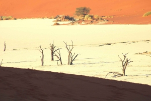 From Windhoek: 12-Day Namibia Camping Trip