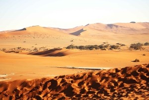 From Windhoek: 12-Day Namibia Camping Trip