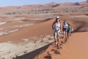 From Windhoek: 12-Day Namibia Camping Trip