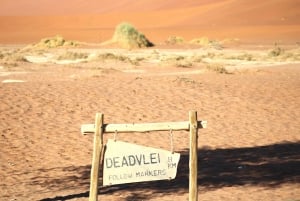 Desde Windhoek: viaje guiado de 20 días por África