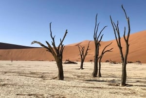Desde Windhoek: viaje guiado de 20 días por África