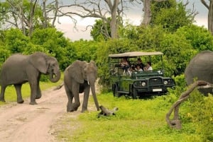 Heldags Chobe National Park Safari Experience