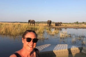 Excursión de un día a Chobe desde la ciudad de Livingstone Zambia