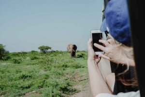 Heldagsoplevelse med Moremi Safari fra Maun