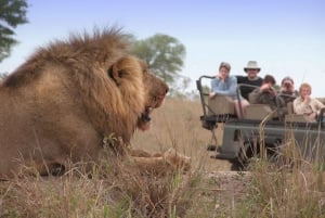 Heldagsoplevelse med Moremi Safari fra Maun