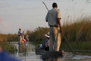 Excursão de 1 dia ao Okavango Mokoro