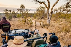 Excursão de 1 dia ao Okavango Mokoro