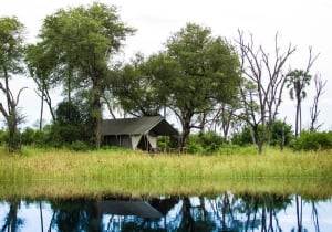 Gomoti Plains Camp