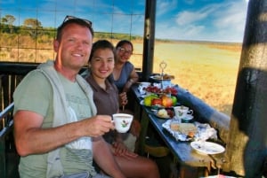 Safári com chá da tarde no Parque Nacional