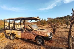 Podwieczorek na safari w parku narodowym