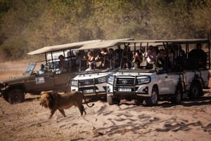 Hwange, Victoriafallene og Chobe: Safari Adventure Combo