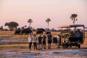 Hwange, Wodospady Wiktorii i Chobe: Safari Adventure Combo
