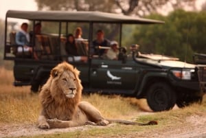 Hwange, Victoria Watervallen & Chobe: Safari Avontuur Combo
