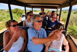 Johannesburg : circuit de 10 jours aux chutes Victoria et sur la Garden Route