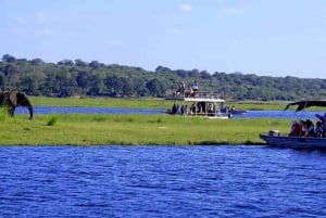 Chobe : Sunset Cruise