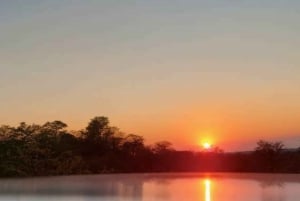 Chobe : Sunset Cruise