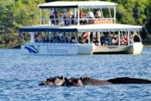 Chobe : Sunset Cruise