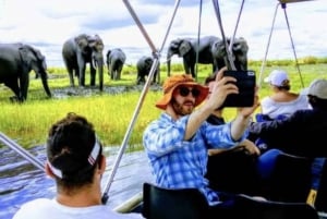 Chobe : Sunset Cruise