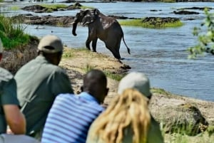 Chobe : Sunset Cruise