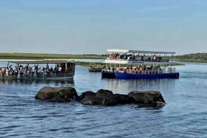 Chobe : Sunset Cruise