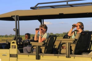 Khwai & Moremi: Safari tour with game drives & boat cruise