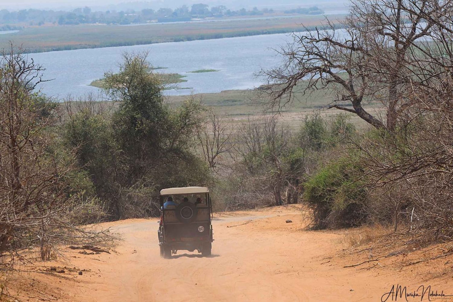 Livingstone: Chobe National Park Day Trip with Lunch