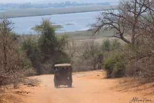 Livingstone: Chobe National Park Day Trip with Lunch
