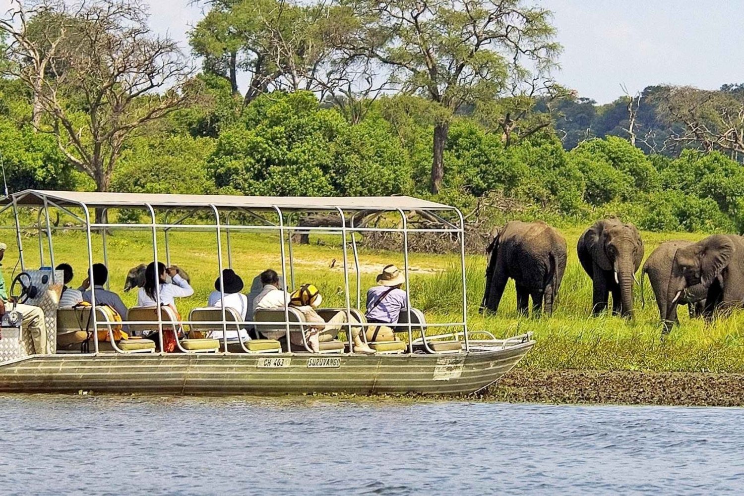 Livingstone: Safari i Chobe nasjonalpark med lunsj