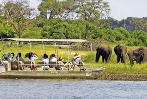 Livingstone: Chobe National Park Safari with Lunch