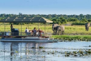 Livingstone: Safári no Parque Nacional Chobe com almoço