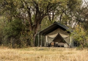 Machaba Camp